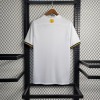 Maillot AIK Solna 2023/24 Concept