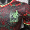Maillot Mexique Concept 2026