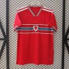 db928b2e5dda79c23d7e86fe58a9ad80.jpg Maillot Wales Domicile 2025/26