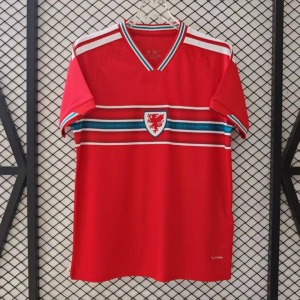 db928b2e5dda79c23d7e86fe58a9ad80.jpg Maillot Wales Domicile 2025/26