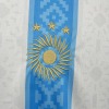 Maillot Argentine Concept 2025 2026