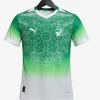 Maillot Côte d'Ivoire Concept 2026