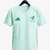 Maillot Mexique Extérieur 2024