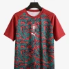 Maillot Portugal 2026/27 Special Red