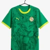 Maillot Sénégal Extérieur 2024-2025
