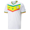 maillot-senegal-domicile-1.png Maillot Sénégal Domicile