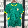 Sénégal Maillot Concept 2025/2026