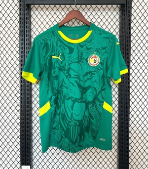 Sénégal Maillot Concept 2025/2026