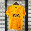 Tottenham Maillot Concept 2024/2025